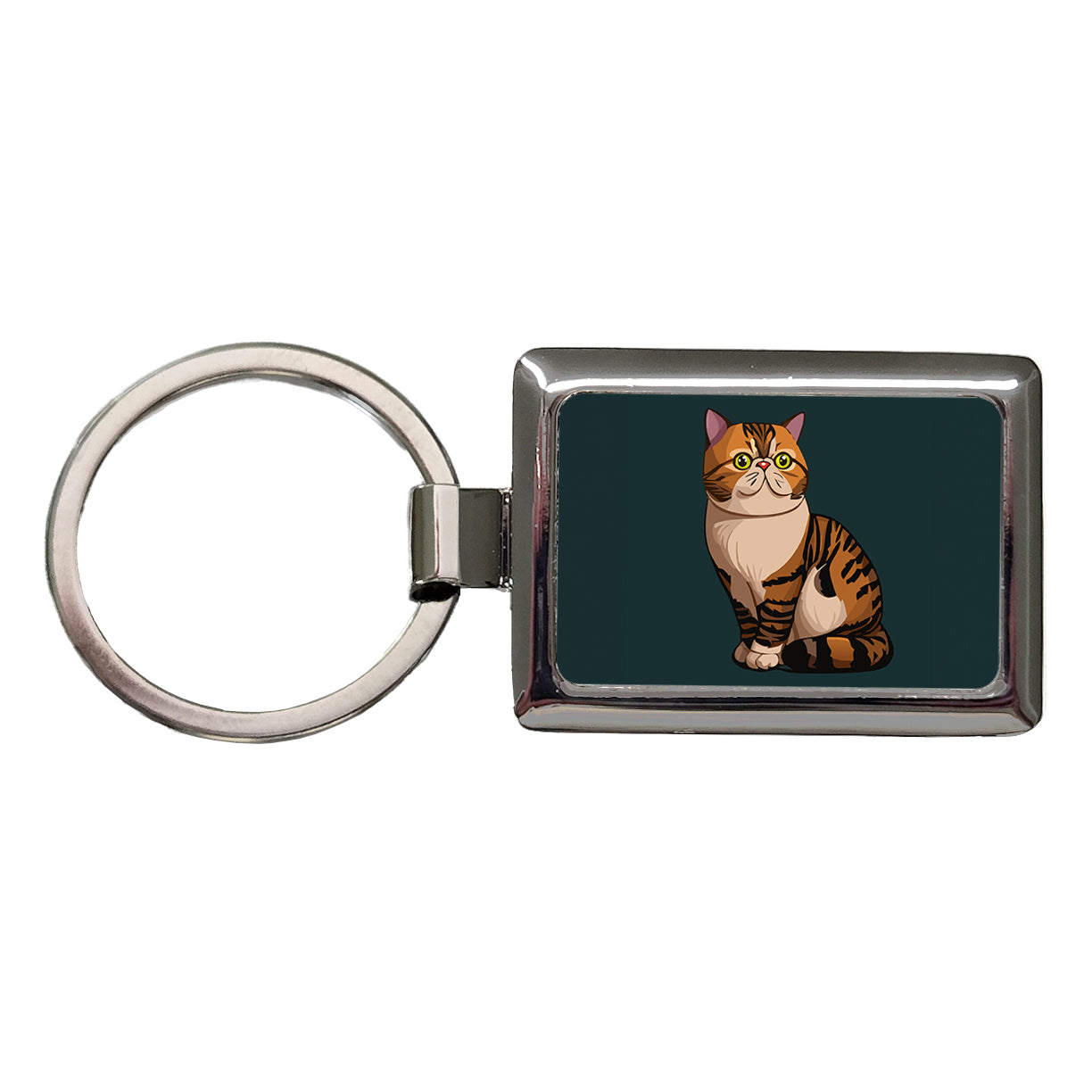 Exotic Shorthair Cat Sitting Rectangle Metal Keychain