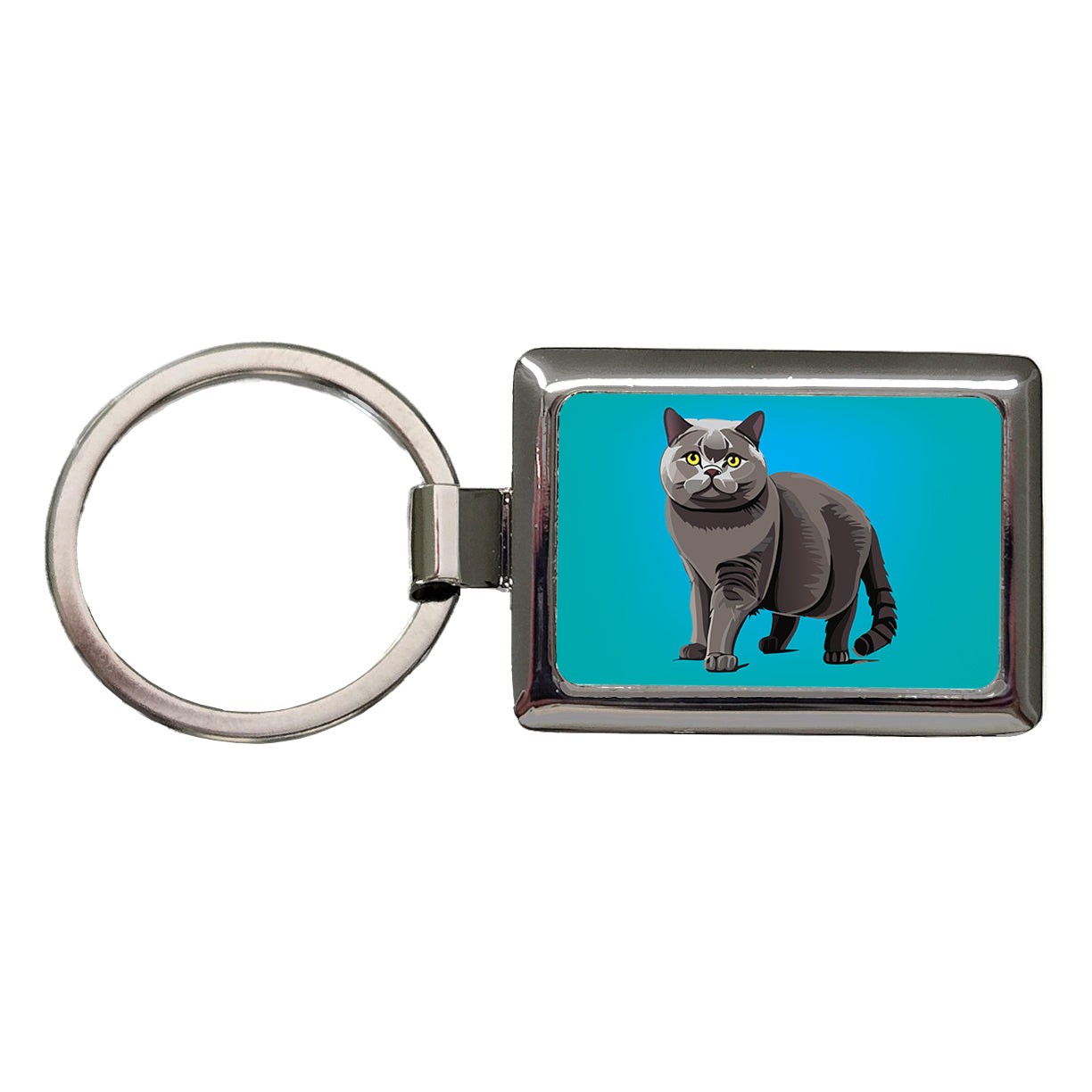 Gray British Shorthair Cat Rectangle Metal Keychain