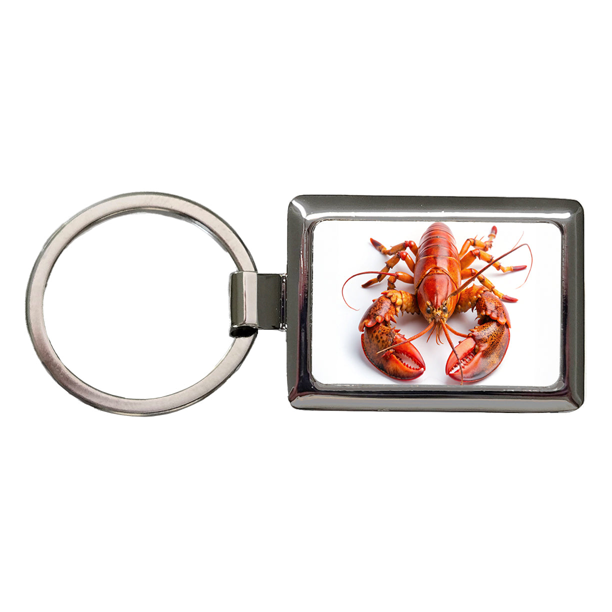 New England Lobster On White Background Rectangle Metal Keychain