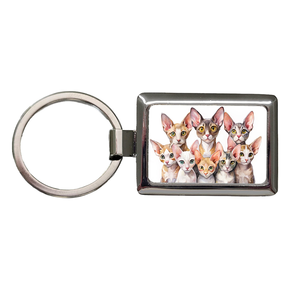 Sweet Cornish Rex Cats Rectangle Metal Keychain