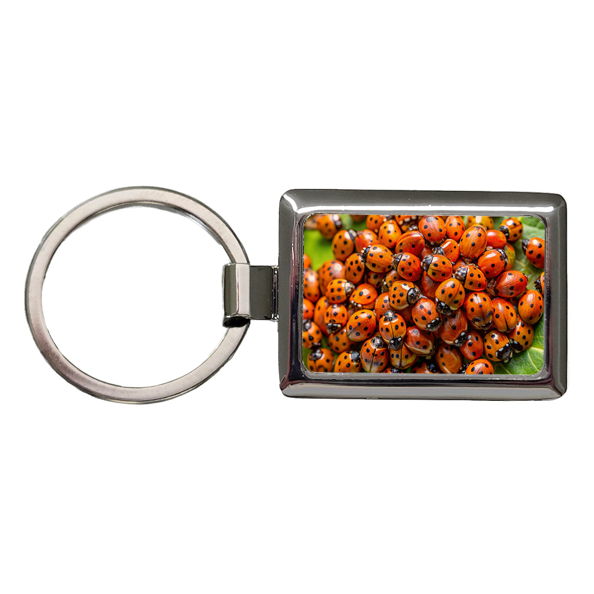 Close-Up Of Ladybugs Covering Leaf Rectangle Metal Keychain
