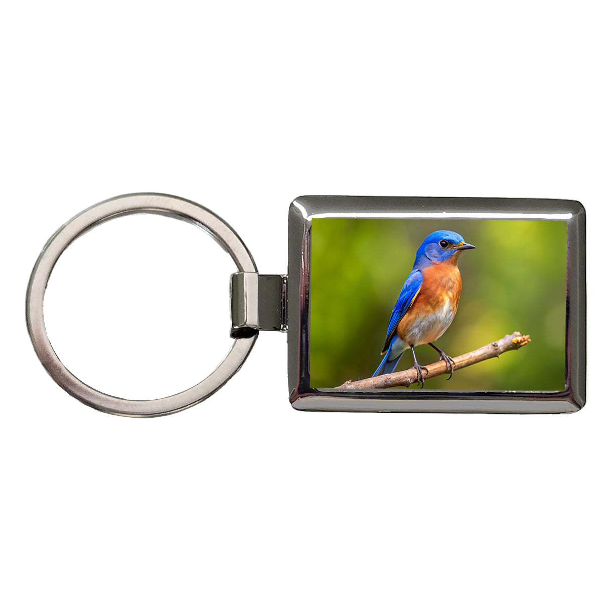 Eastern Bluebird Backyard Bird Rectangle Metal Keychain