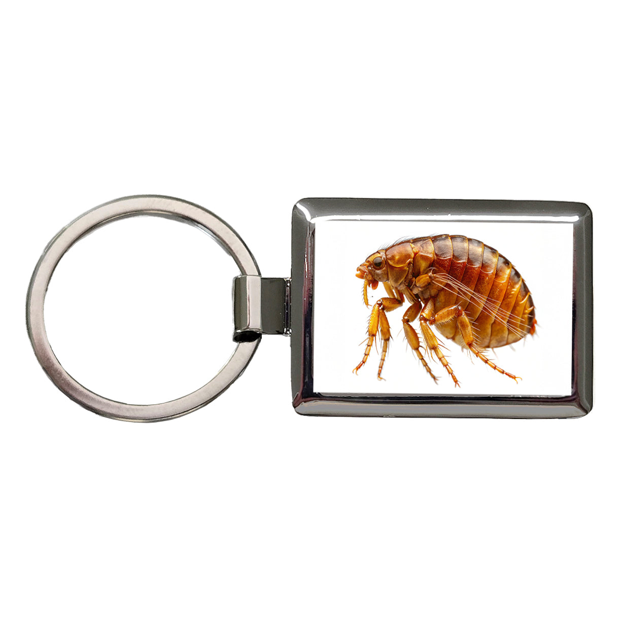 Flea Rectangle Metal Keychain