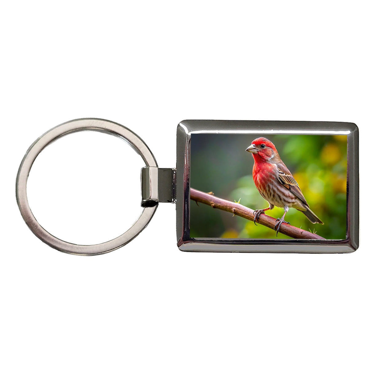 House Finch Backyard Bird Rectangle Metal Keychain