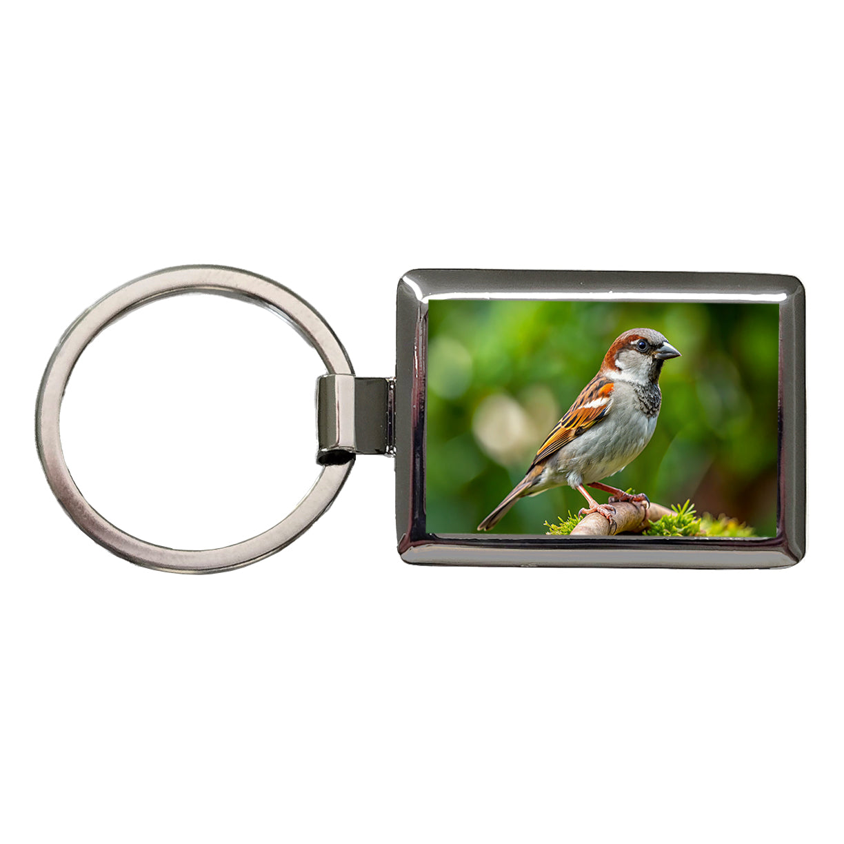 House Sparrow Backyard Bird Rectangle Metal Keychain