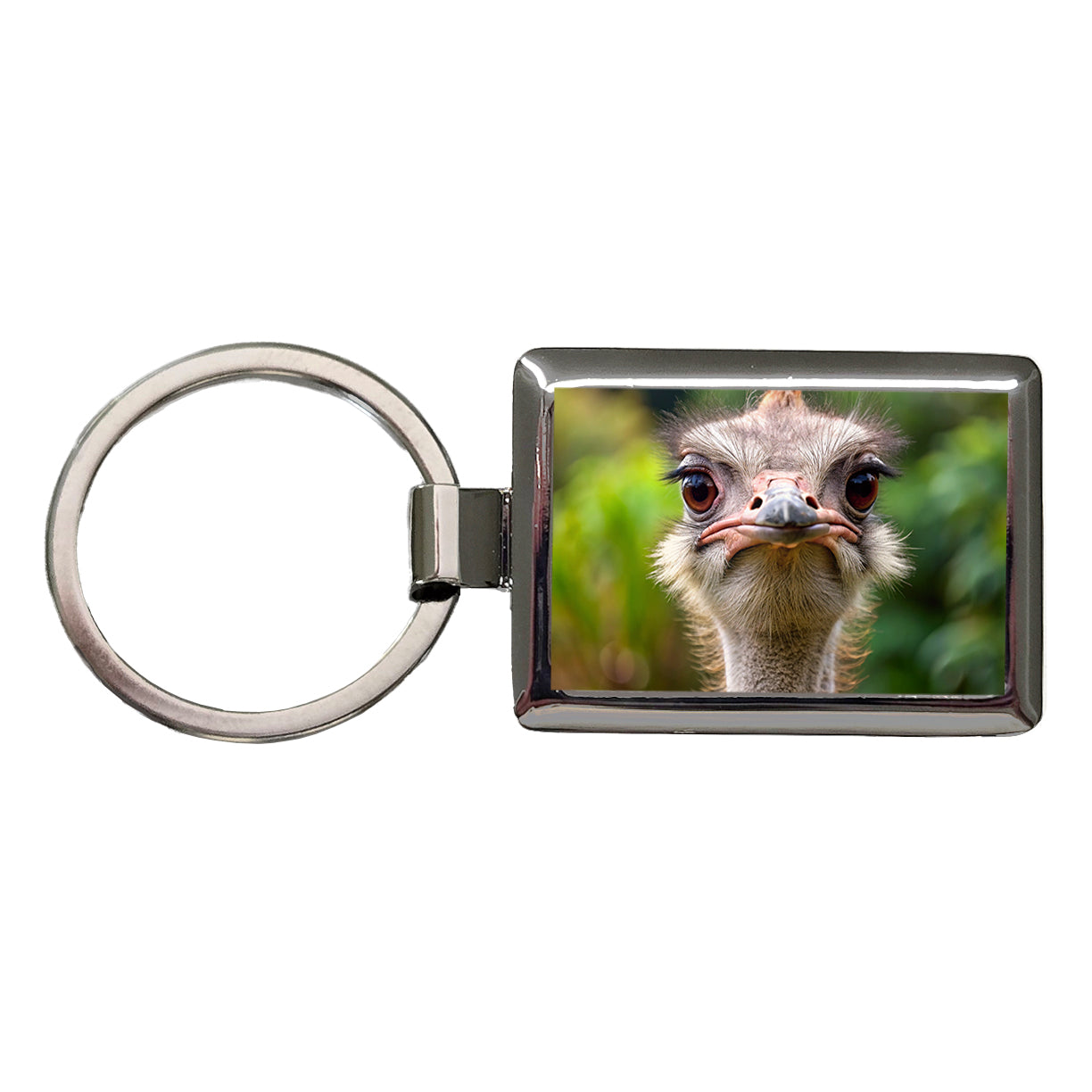 Ostrich Rectangle Metal Keychain