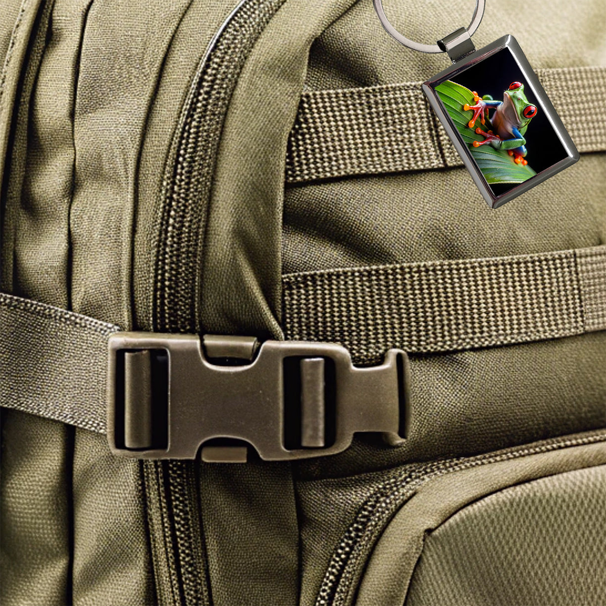 Red Eyed Tree Frog On Leaf Rectangle Metal Keychain