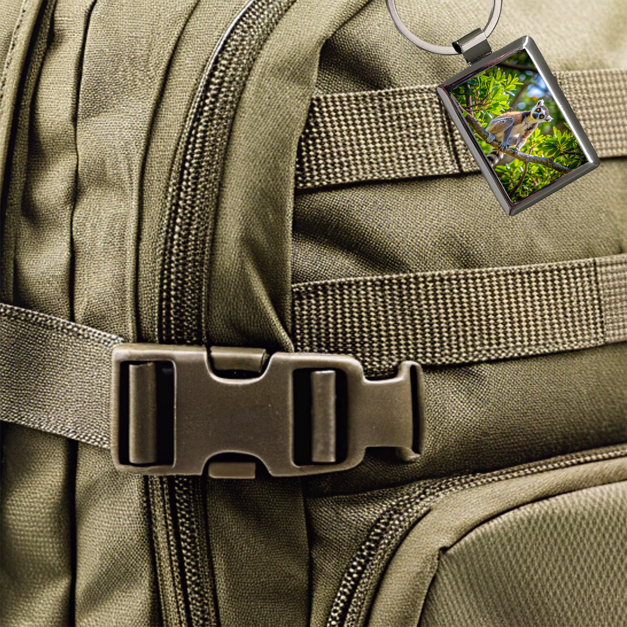 Ring-Tailed Lemur In Tree Rectangle Metal Keychain