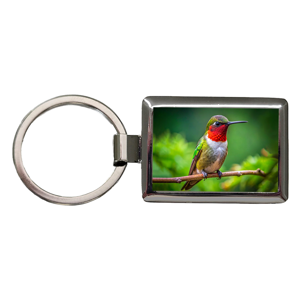 Ruby Throated Hummingbird Backyard Bird Rectangle Metal Keychain