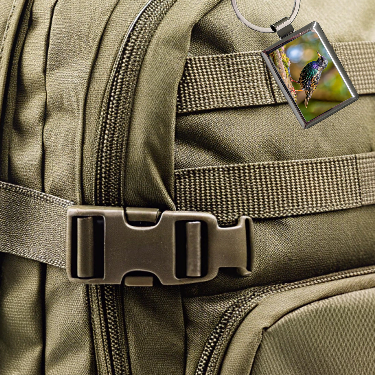 Starling Backyard Bird Rectangle Metal Keychain