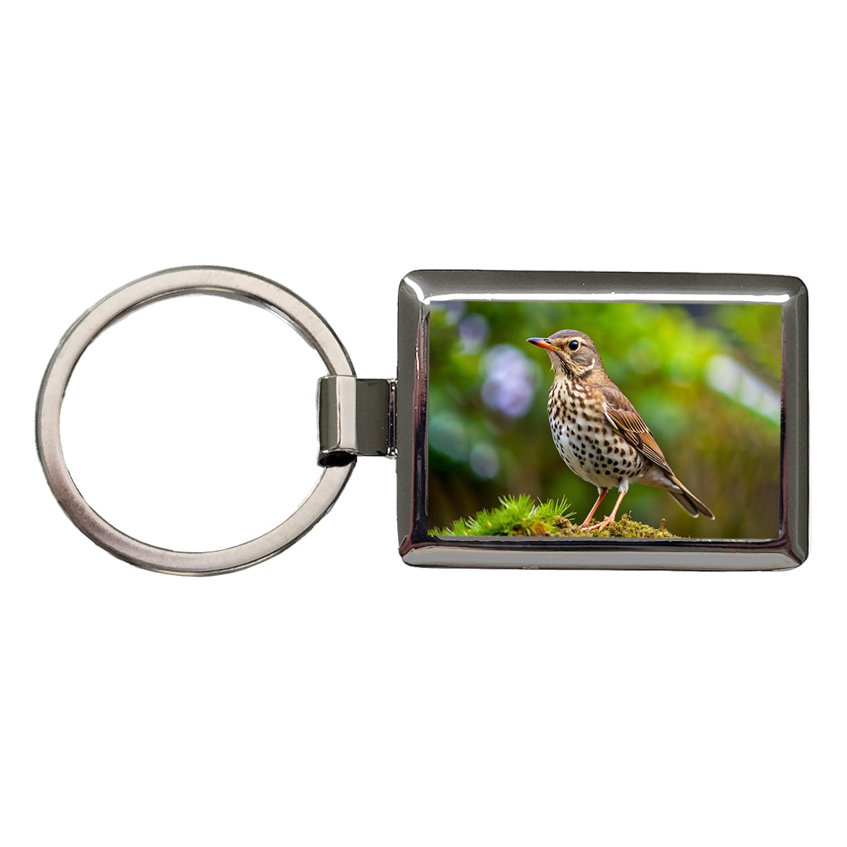 Thrush Bird Backyard Bird Rectangle Metal Keychain