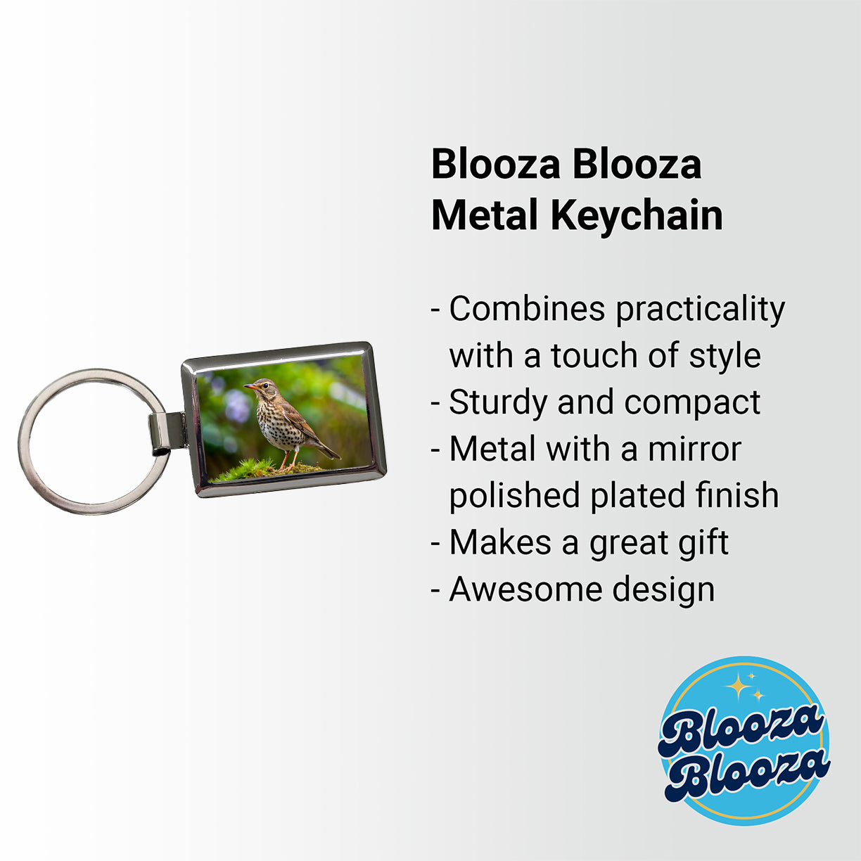 Thrush Bird Backyard Bird Rectangle Metal Keychain