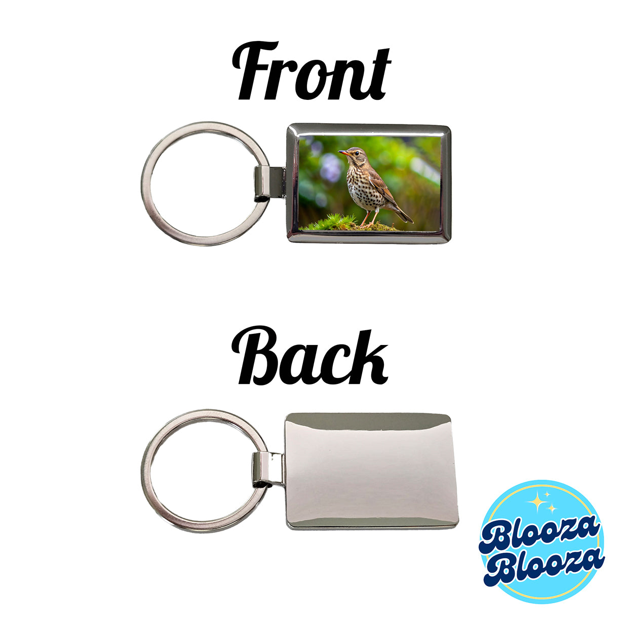 Thrush Bird Backyard Bird Rectangle Metal Keychain