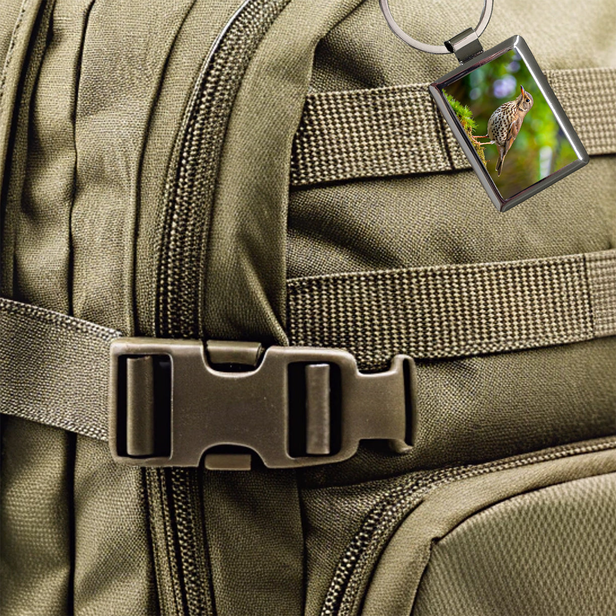 Thrush Bird Backyard Bird Rectangle Metal Keychain