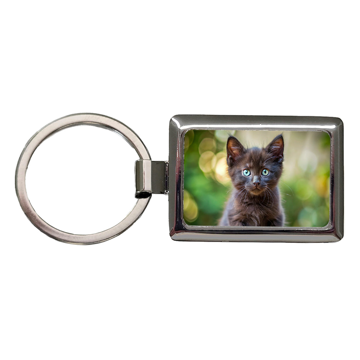 Black Cat Kitten Photo Rectangle Metal Keychain