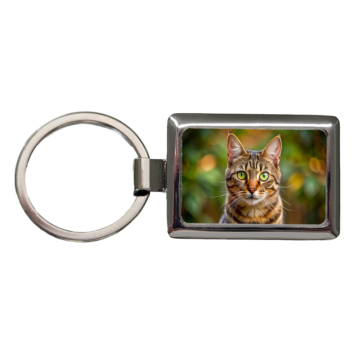 Tabby Cat Photo Rectangle Metal Keychain