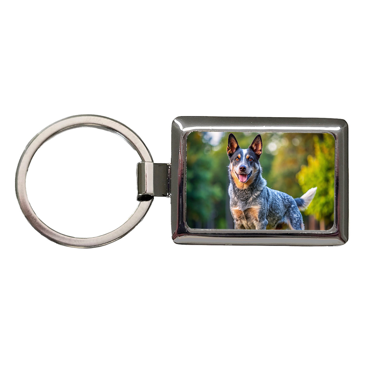 Australian Cattle Dog Photo Rectangle Metal Keychain