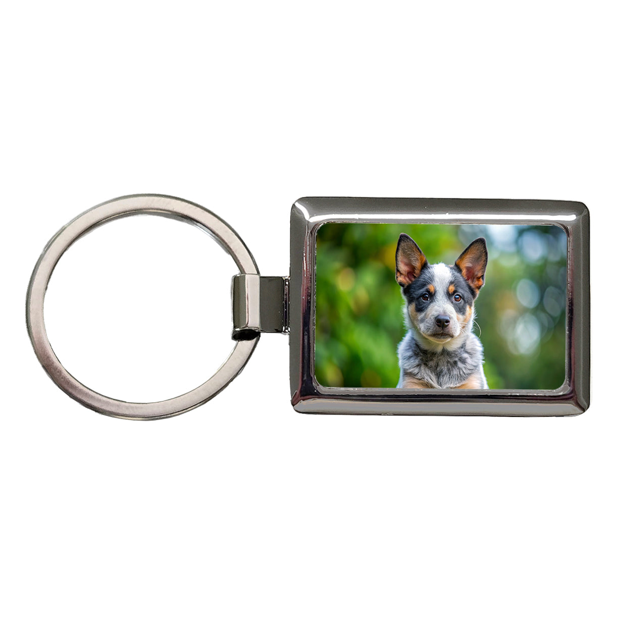 Australian Cattle Dog Puppy Photo Rectangle Metal Keychain