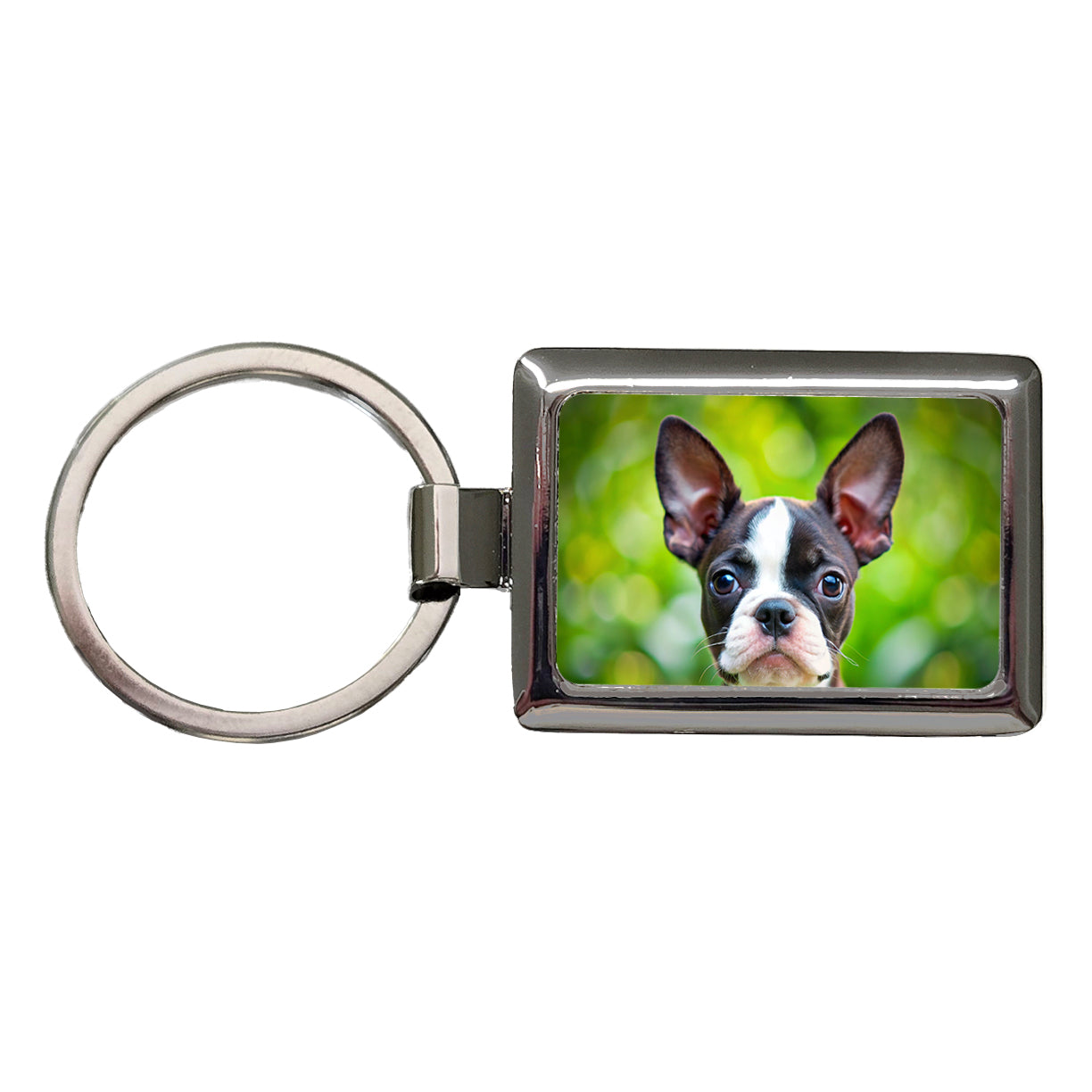 Boston Terrier Dog Puppy Photo Rectangle Metal Keychain