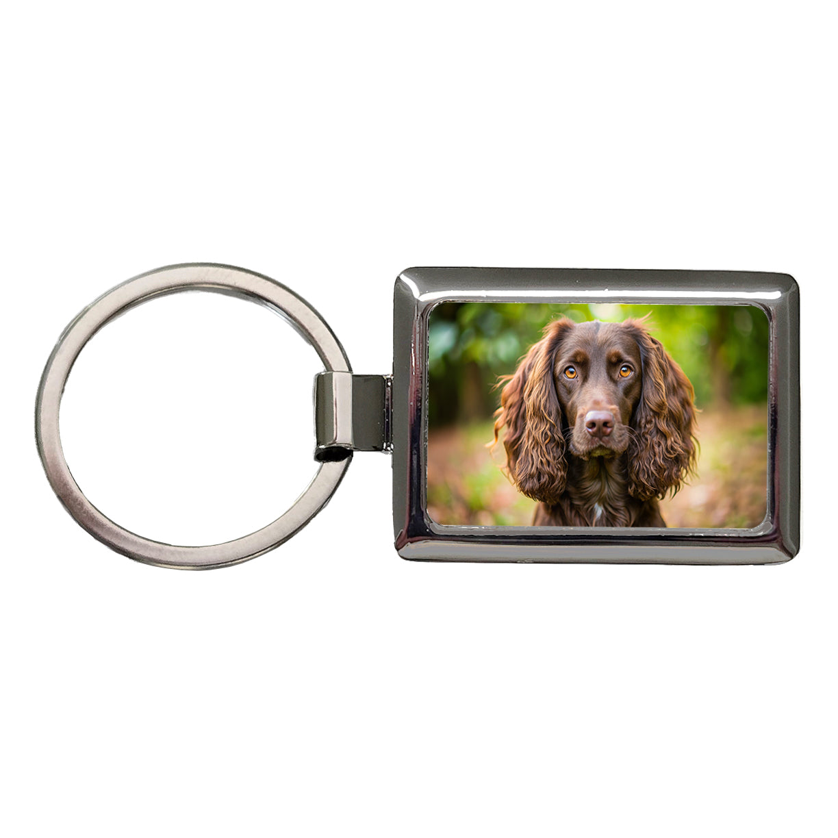 Boykin Spaniel Dog Photo Rectangle Metal Keychain
