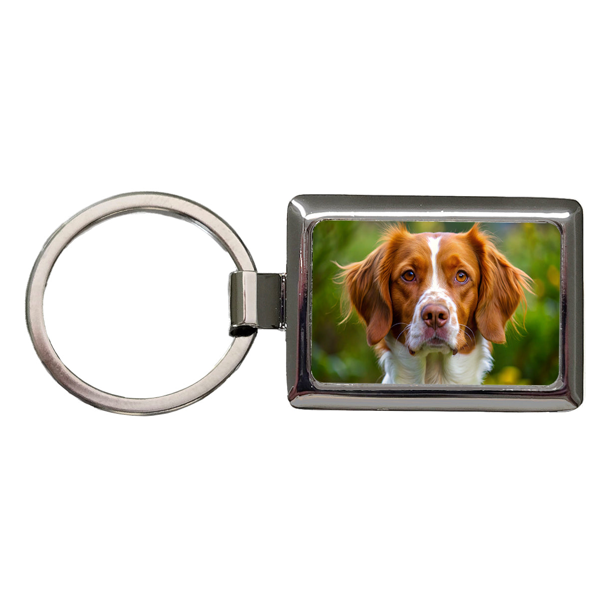 Brittany Spaniel Dog Photo Rectangle Metal Keychain