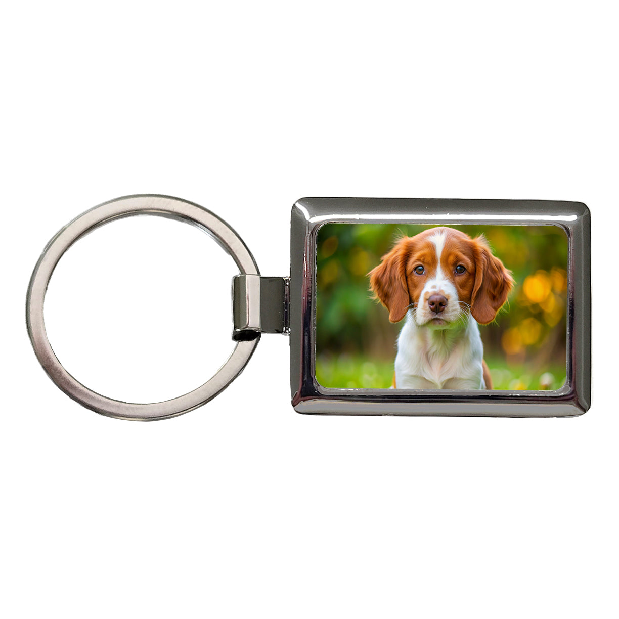 Brittany Spaniel Dog Puppy Photo Rectangle Metal Keychain