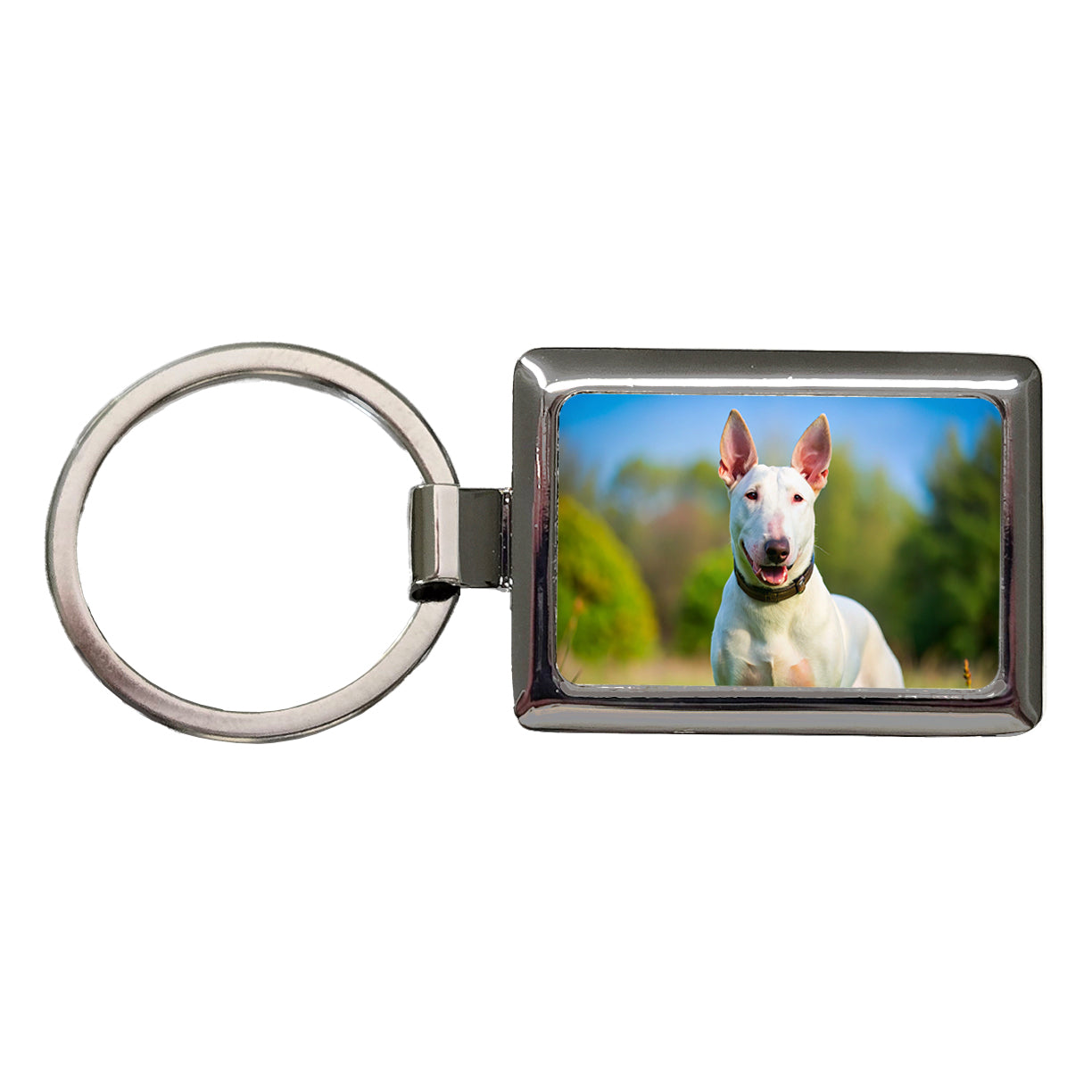 Bull Terrier Dog Photo Rectangle Metal Keychain