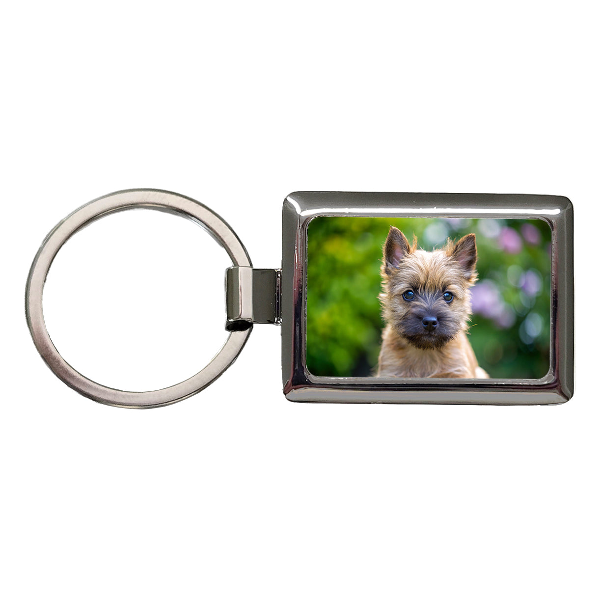 Cairn Terrier Dog Puppy Photo Rectangle Metal Keychain