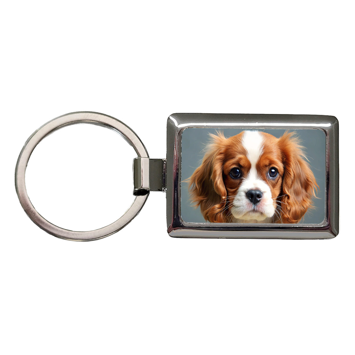 Cavalier King Charles Spaniel Dog Puppy Photo Rectangle Metal Keychain