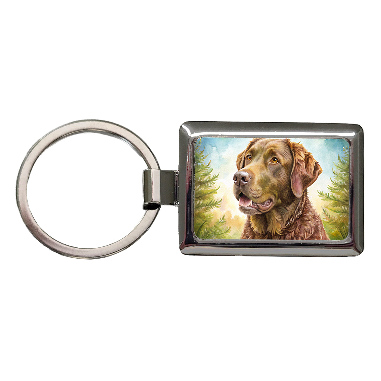 Chesapeake Bay Retriever Dog Illustration Rectangle Metal Keychain