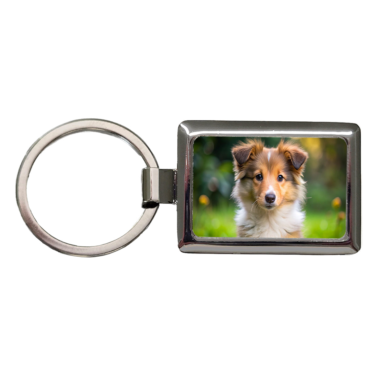 Collie Dog Puppy Photo Rectangle Metal Keychain