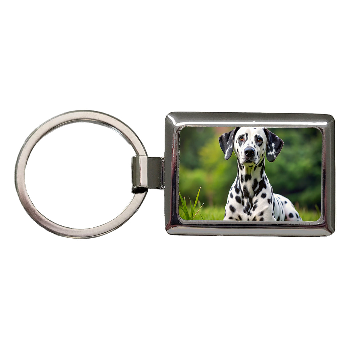 Dalmatian Dog Photo Rectangle Metal Keychain