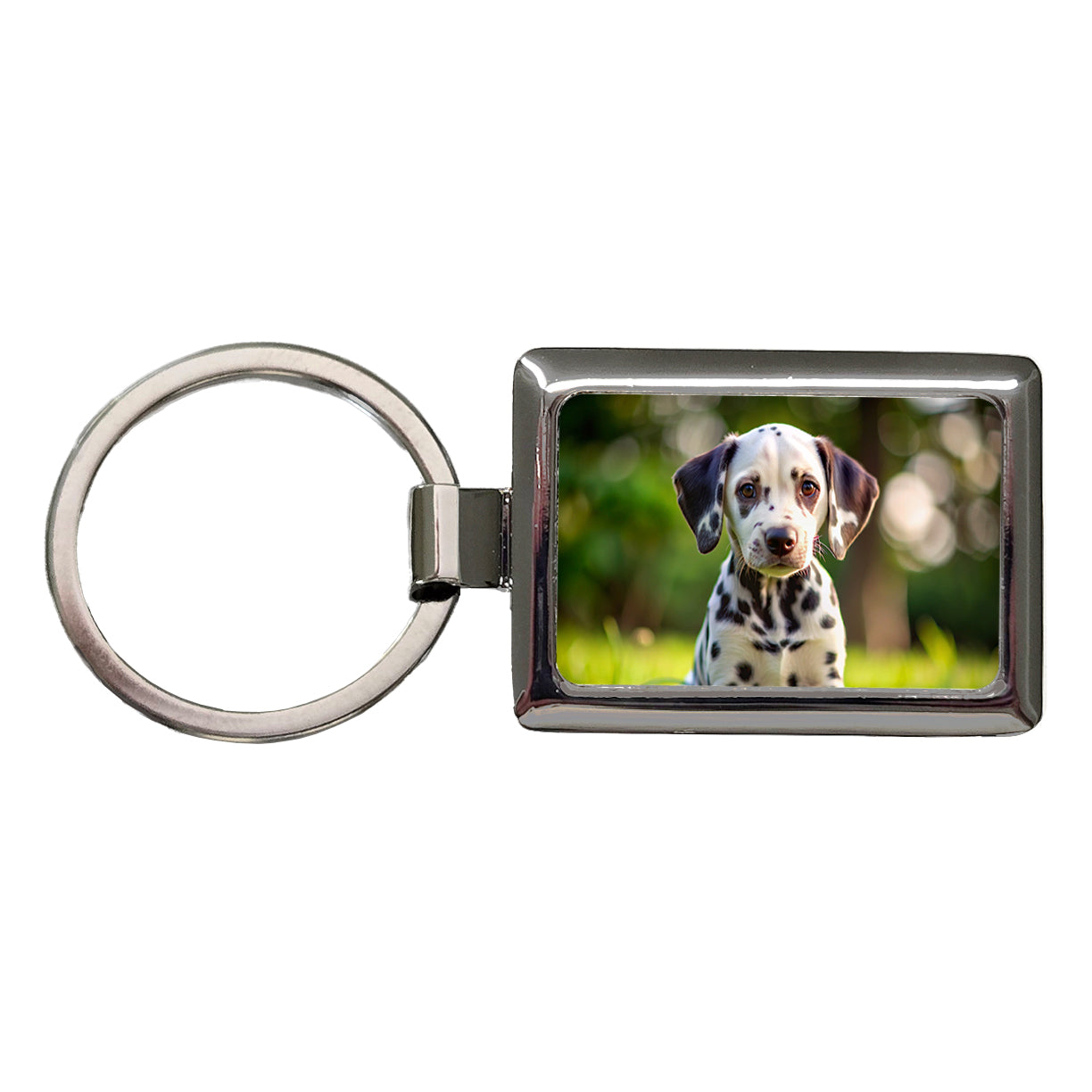 Dalmatian Dog Puppy Photo Rectangle Metal Keychain