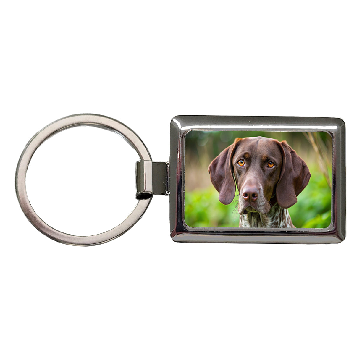 German Shorthaired Pointer Dog Photo Rectangle Metal Keychain