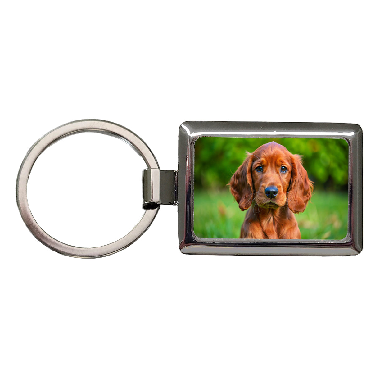 Irish Setter Dog Puppy Photo Rectangle Metal Keychain