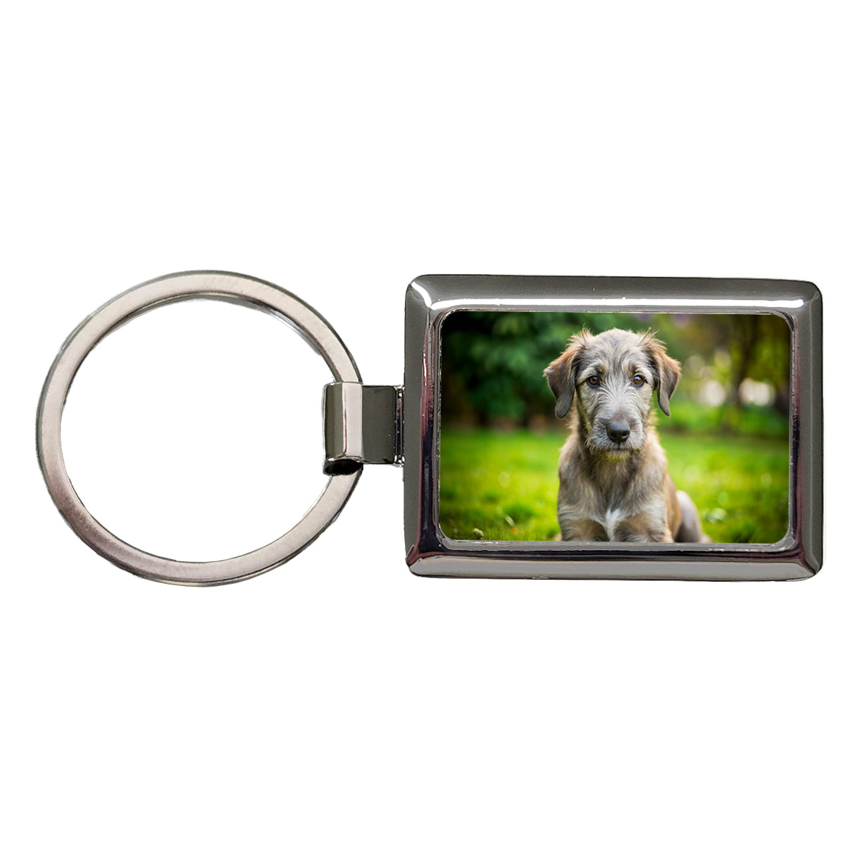 Irish Wolfhound Dog Puppy Photo Rectangle Metal Keychain