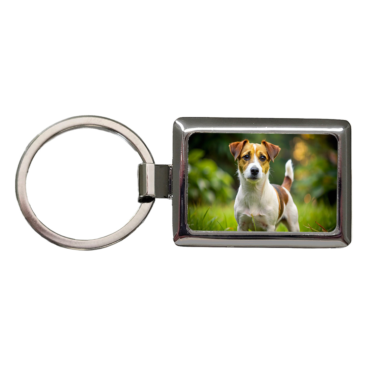 Jack Russell Terrier Dog Photo Rectangle Metal Keychain