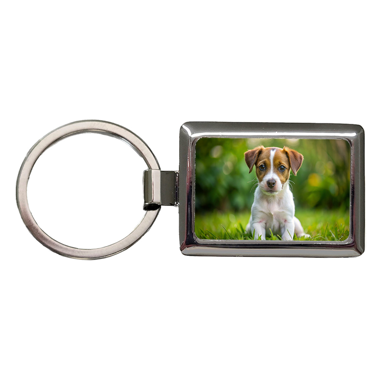 Jack Russell Terrier Dog Puppy Photo Rectangle Metal Keychain