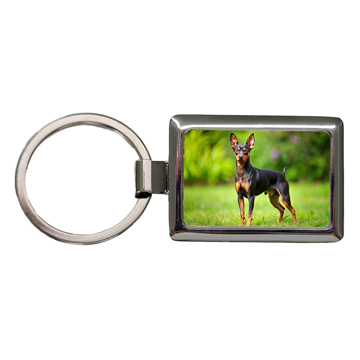 Miniature Pinscher Dog Photo Rectangle Metal Keychain