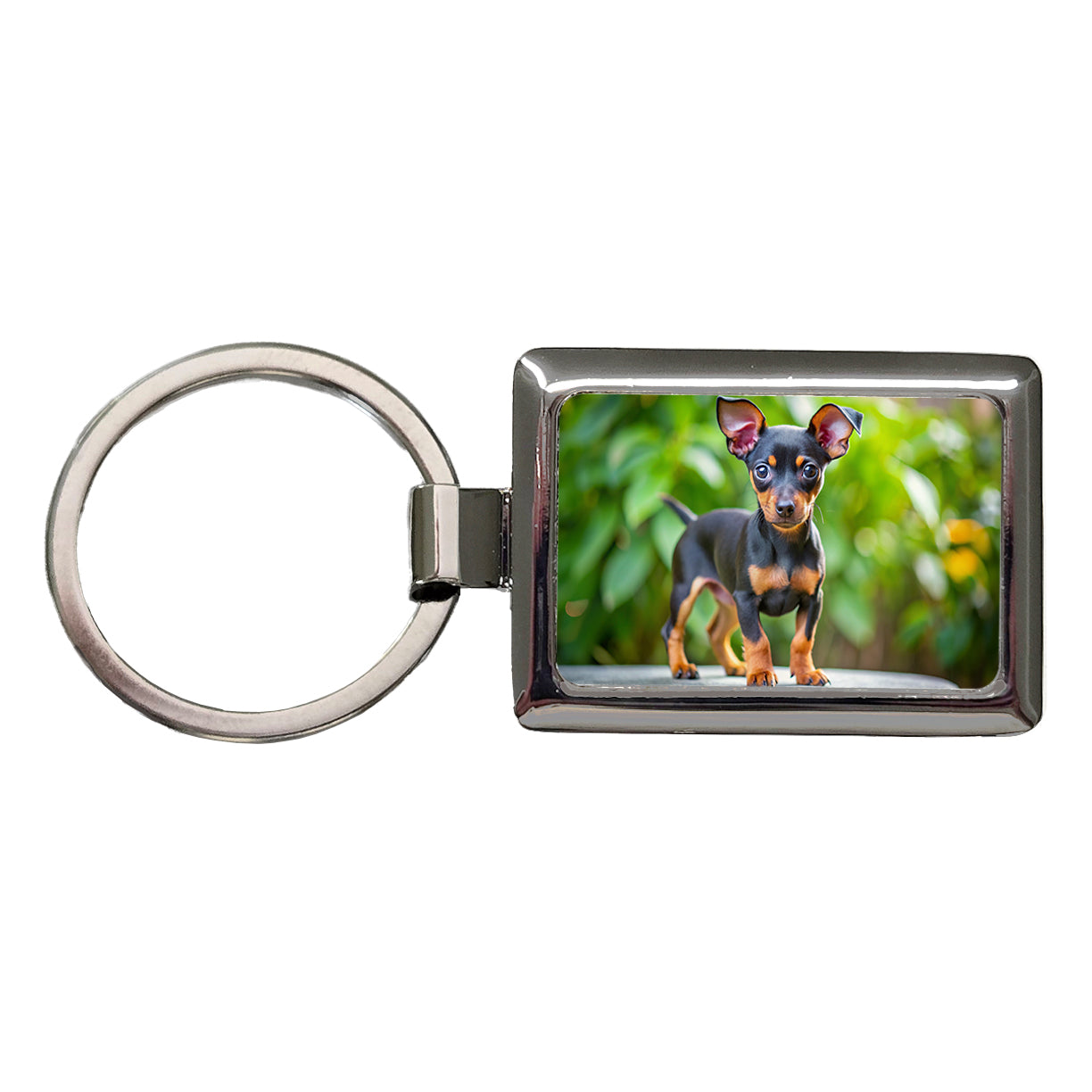 Miniature Pinscher Dog Puppy Photo Rectangle Metal Keychain