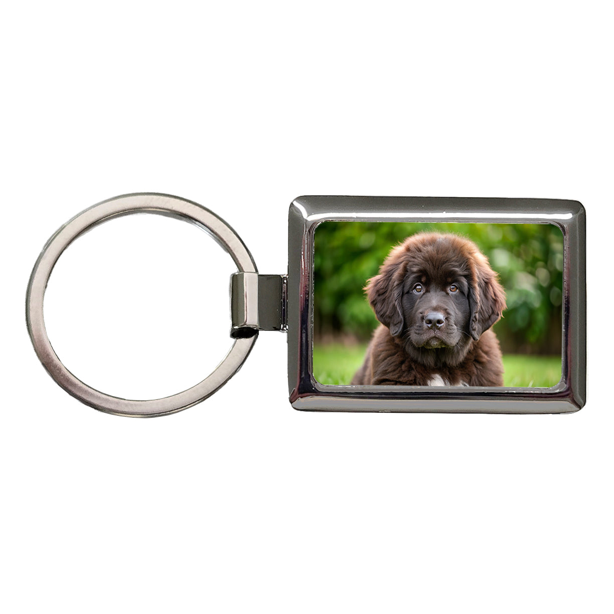 Newfoundland Dog Puppy Photo Rectangle Metal Keychain