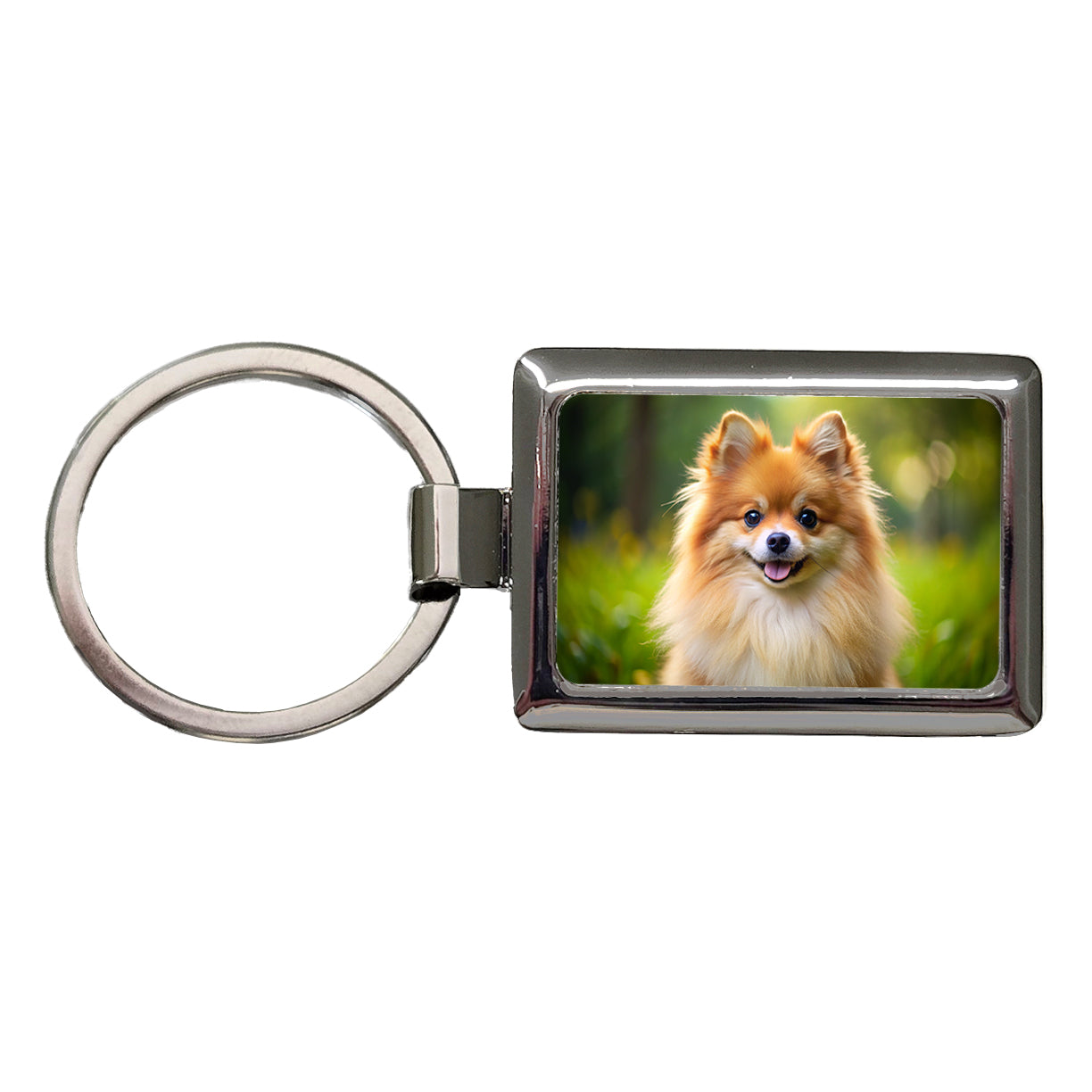 Pomeranian Dog Photo Rectangle Metal Keychain