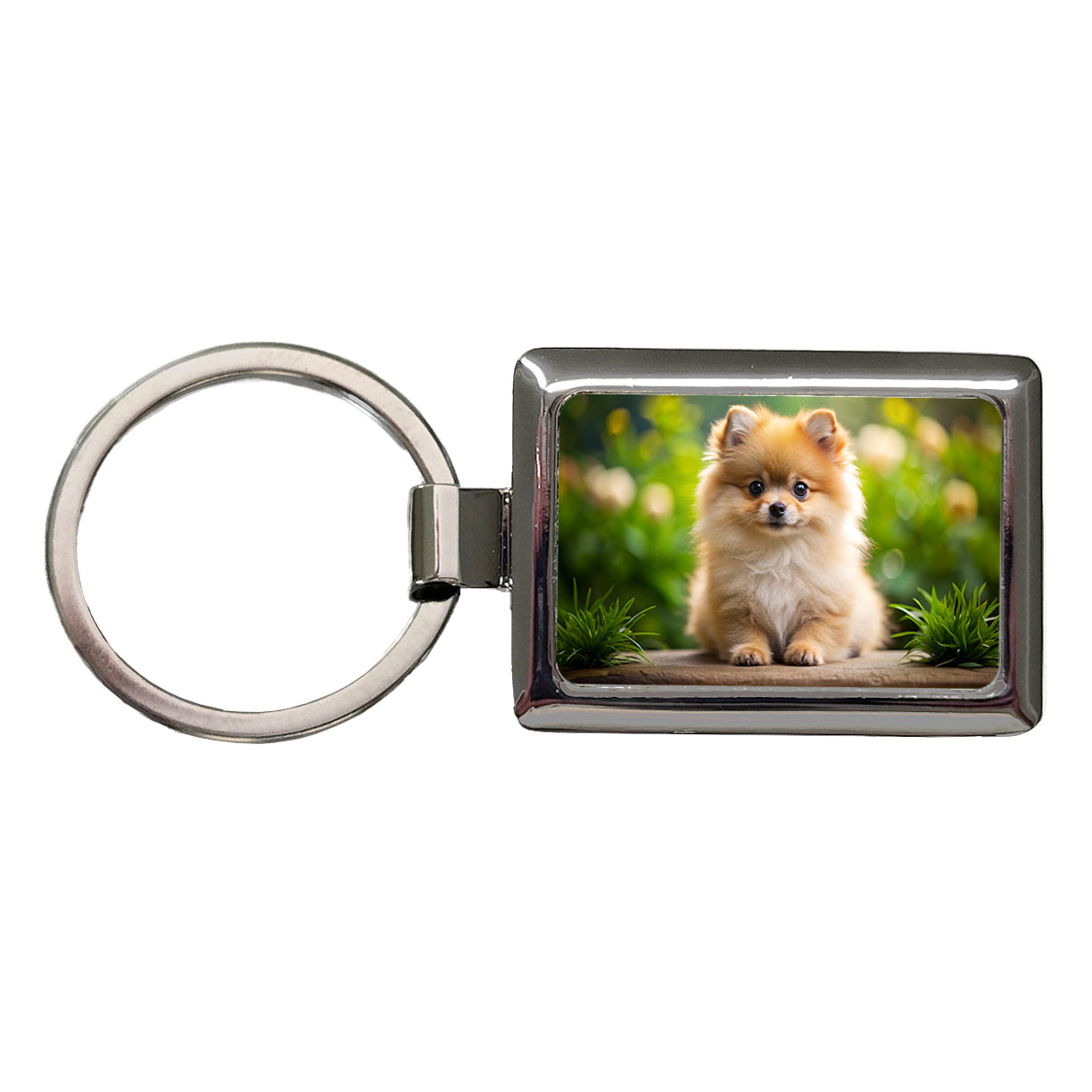 Pomeranian Dog Puppy Photo Rectangle Metal Keychain