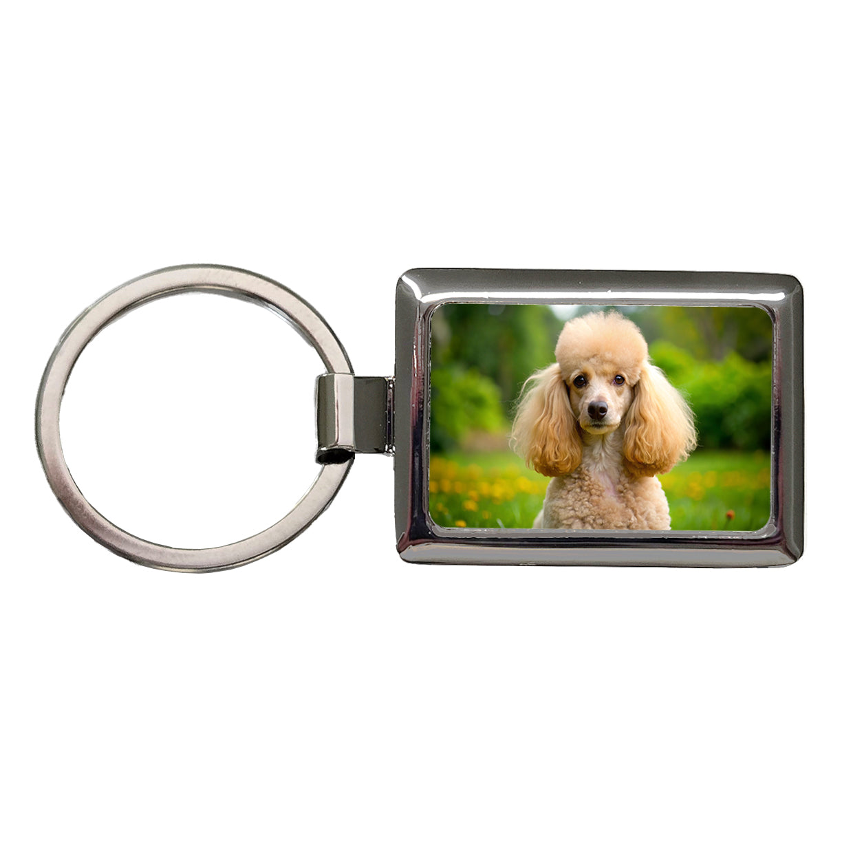 Poodle Dog Photo Rectangle Metal Keychain