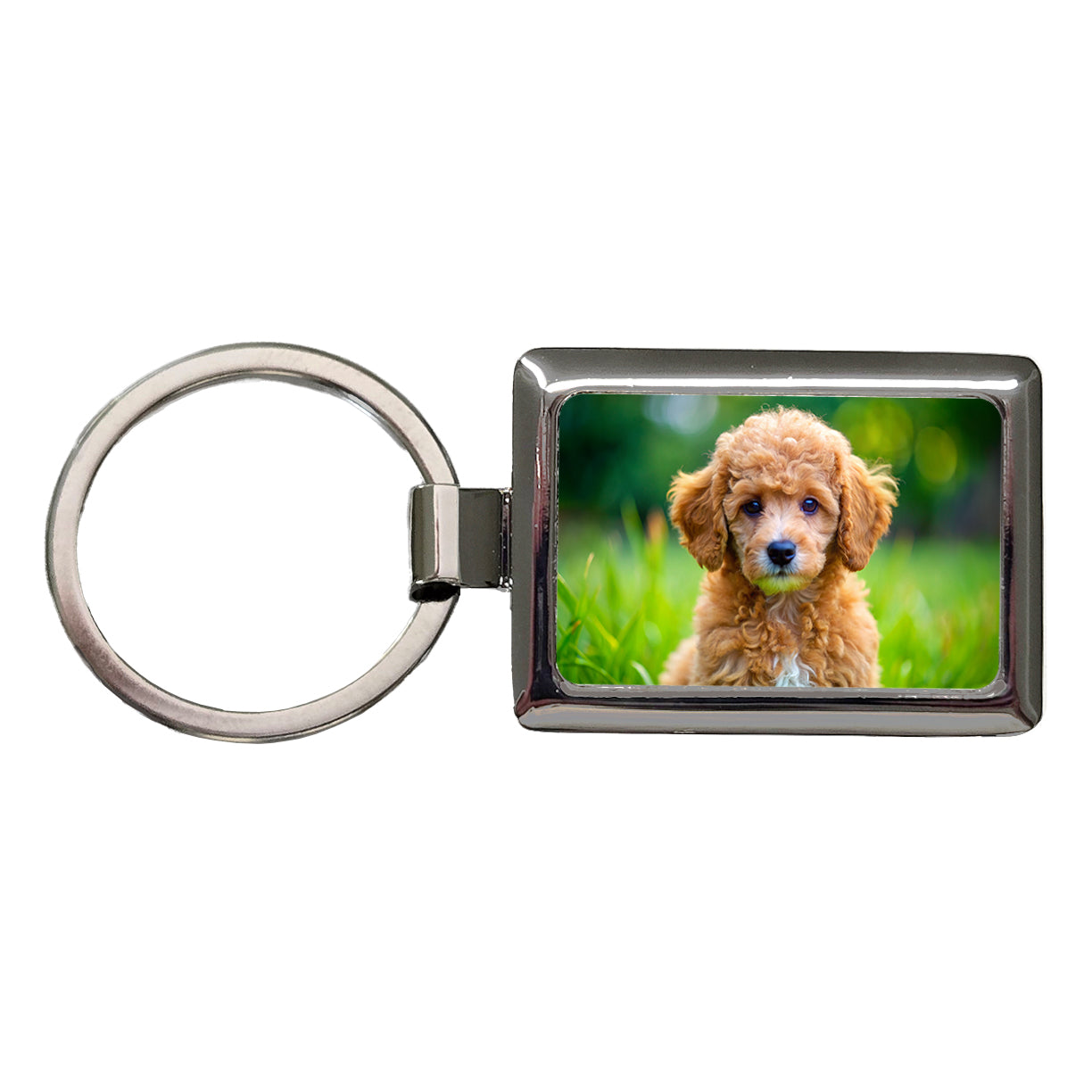 Poodle Dog Puppy Photo Rectangle Metal Keychain