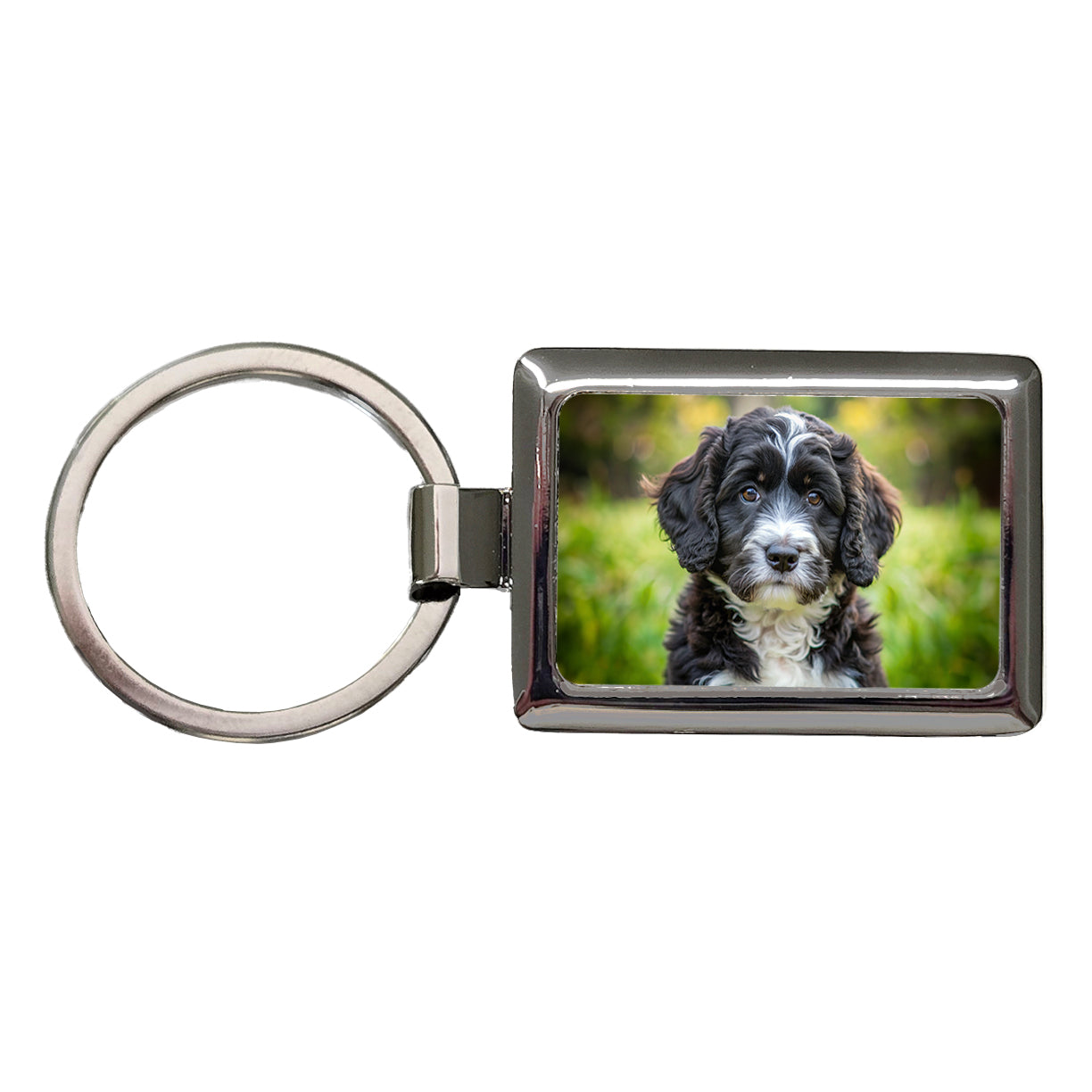 Portuguese Water Dog Puppy Photo Rectangle Metal Keychain