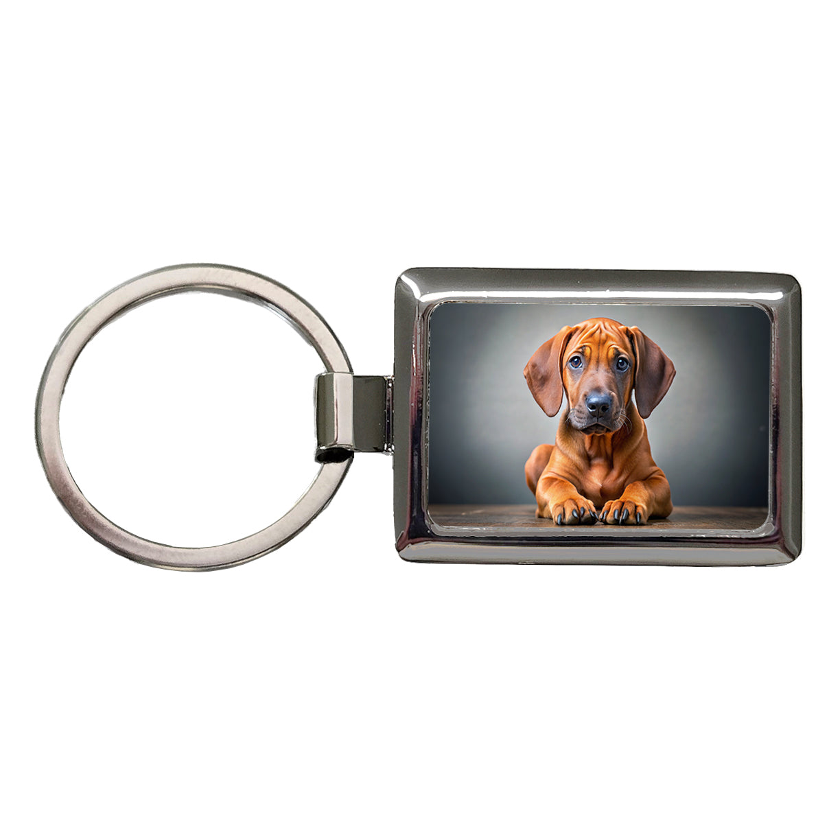 Rhodesian Ridgeback Dog Puppy Photo Rectangle Metal Keychain