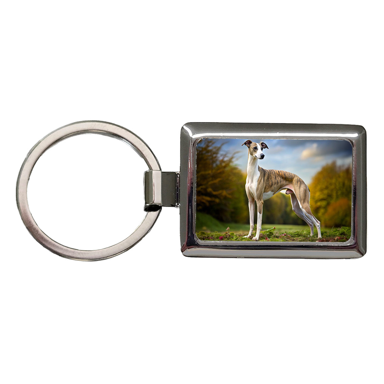 Whippet Dog Photo Rectangle Metal Keychain