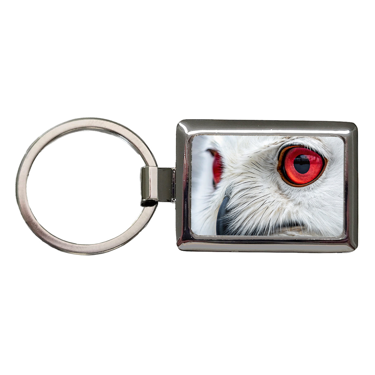 Red Eyes Owl Bird Rectangle Metal Keychain