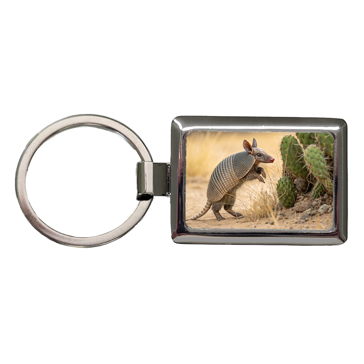 Armadillo In Desert Rectangle Metal Keychain